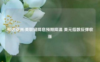 邦达亚洲:美联储降息预期降温 美元指数反弹收涨