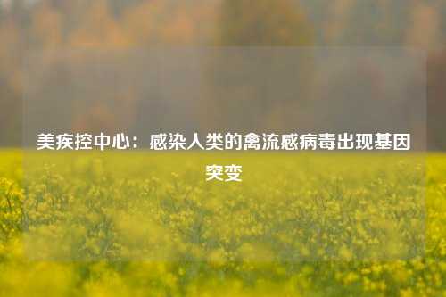 美疾控中心：感染人类的禽流感病毒出现基因突变