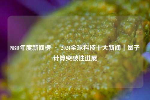 NBD年度新闻榜 · 2024全球科技十大新闻｜量子计算突破性进展