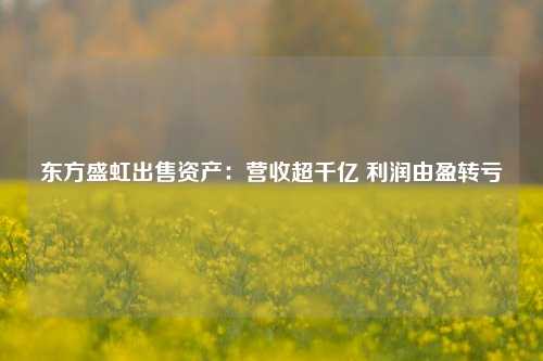 东方盛虹出售资产：营收超千亿 利润由盈转亏