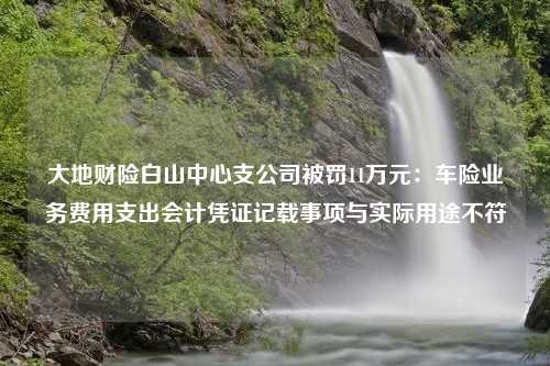 大地财险白山中心支公司被罚11万元：车险业务费用支出会计凭证记载事项与实际用途不符