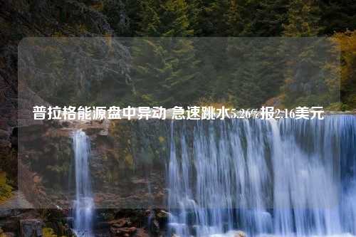 普拉格能源盘中异动 急速跳水5.26%报2.16美元