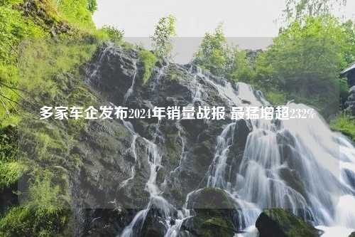 多家车企发布2024年销量战报 最猛增超232%