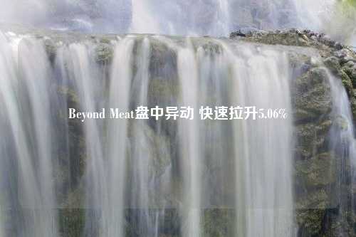 Beyond Meat盘中异动 快速拉升5.06%