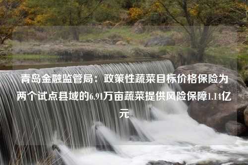 青岛金融监管局：政策性蔬菜目标价格保险为两个试点县域的6.91万亩蔬菜提供风险保障1.14亿元