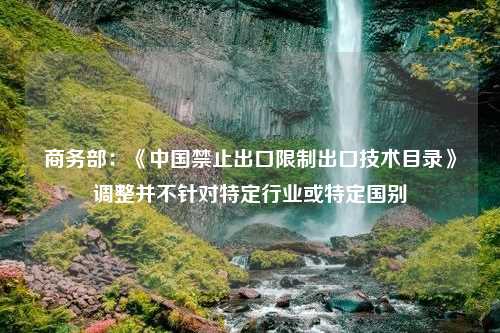 商务部：《中国禁止出口限制出口技术目录》调整并不针对特定行业或特定国别